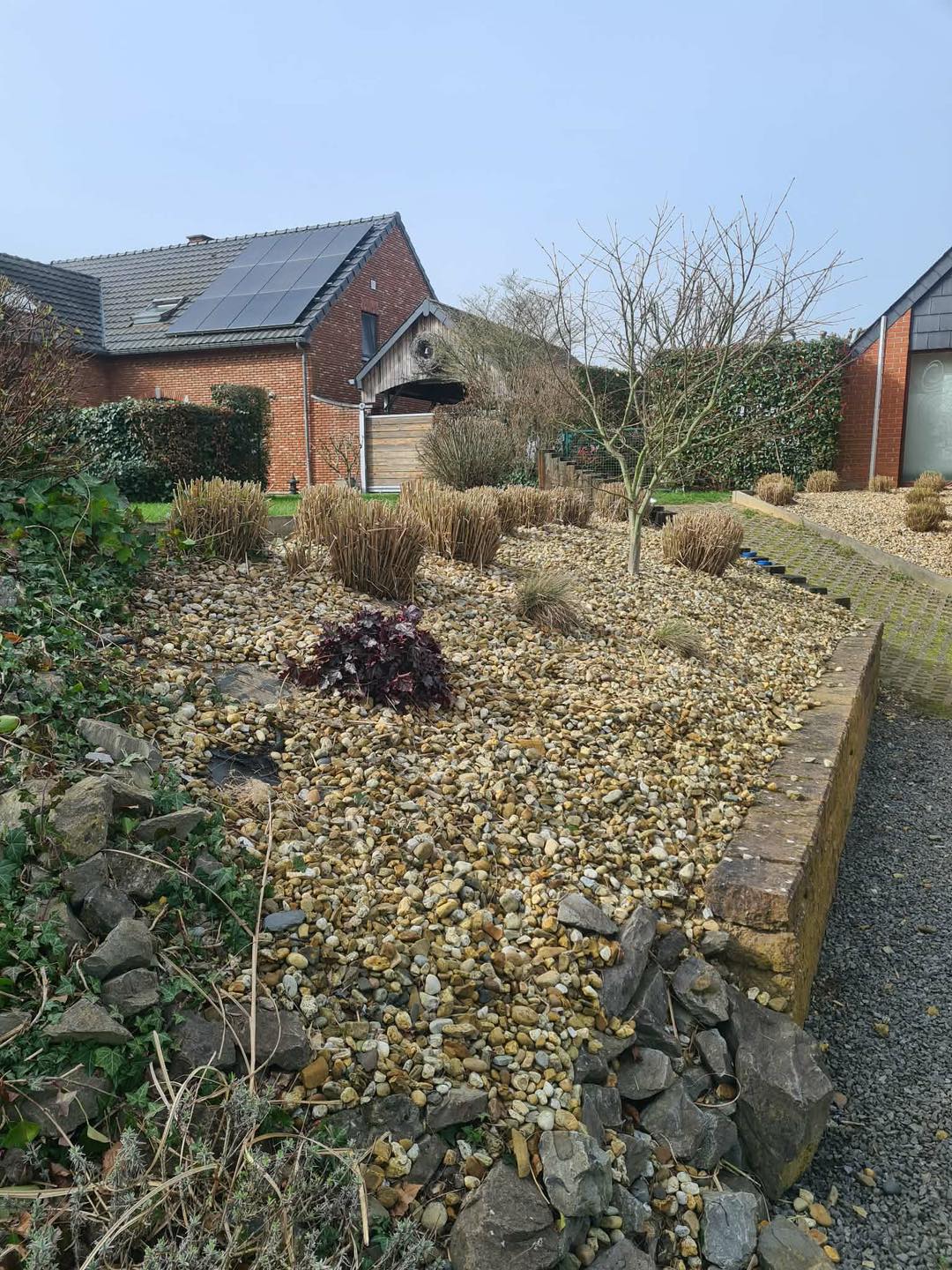 Aménagement de jardin en fin d'hiver