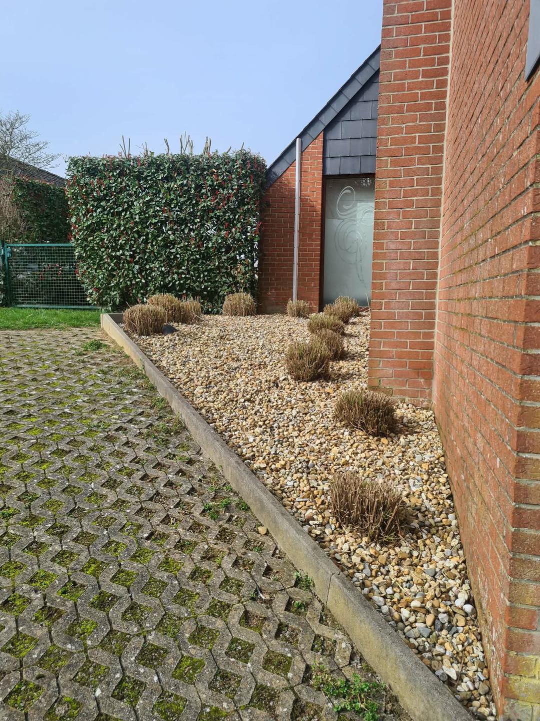 Entretien pelouse printemps