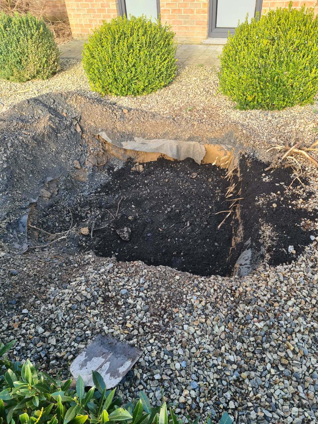 Installation d'oliviers devant une maison