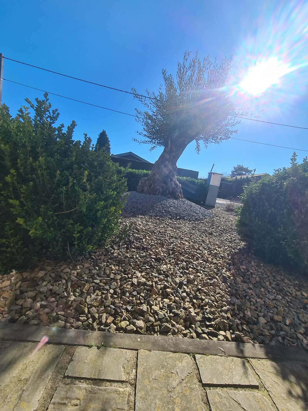 Arrosage jardin été